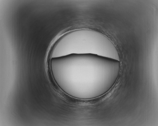 X0000115520246200911061029