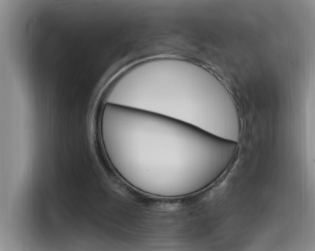 X0000115520247200911061029