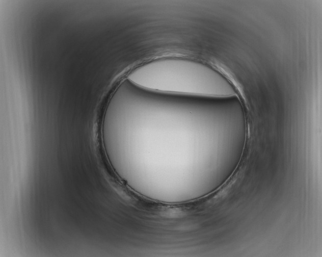 X0000115520249200911061029