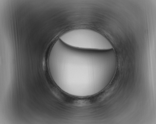 X0000115520251200911061029