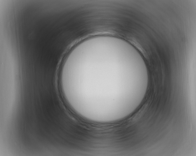 X0000115520252200911061029