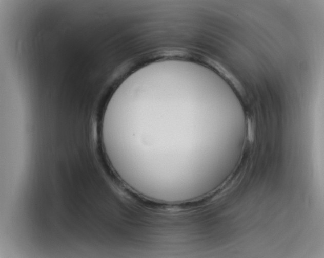 X0000115520253200911061029