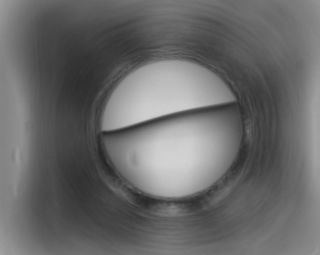 X0000115520254200911061029