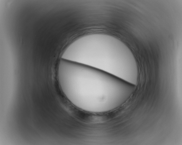 X0000115520255200911061029