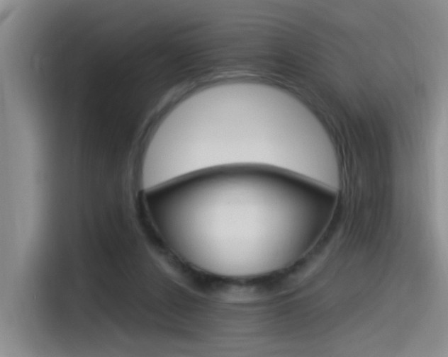 X0000115520256200911061029