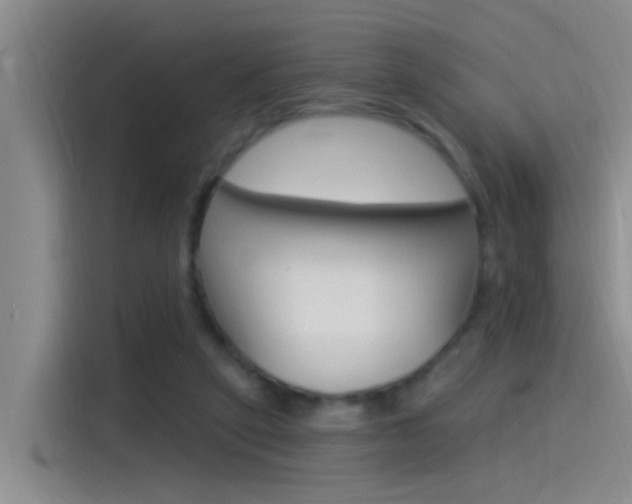X0000115520257200911061029