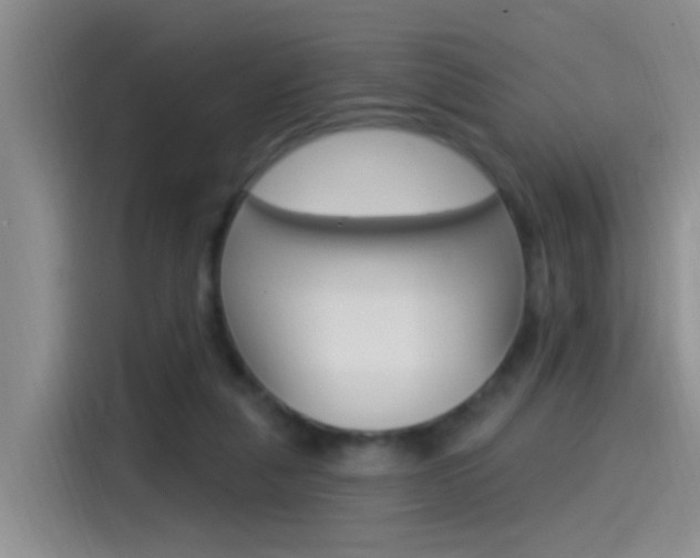 X0000115520259200911061029