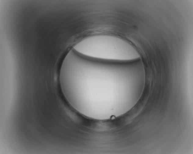 X0000115520261200911061029