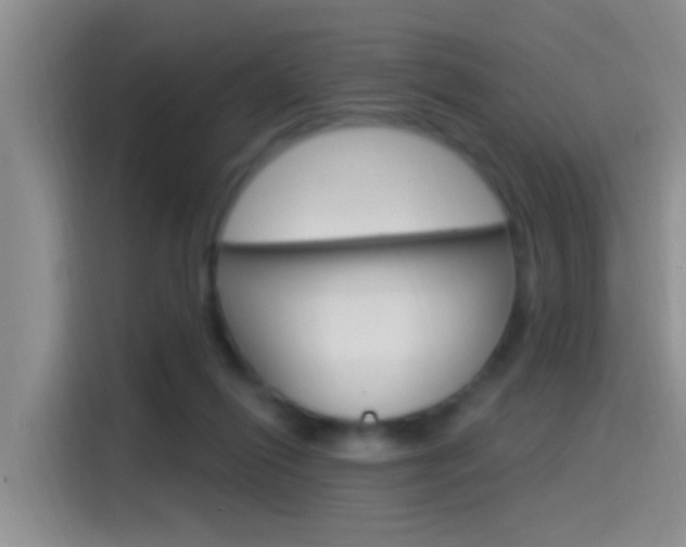 X0000115520262200911061029