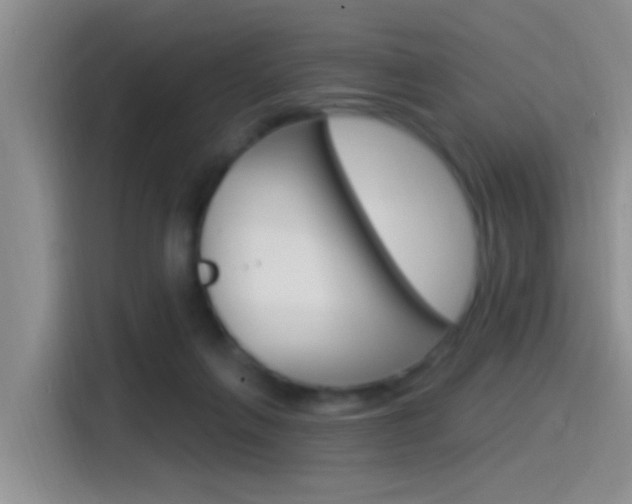 X0000115520263200911061029