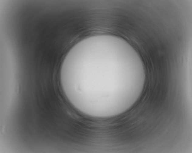 X0000115520264200911061029