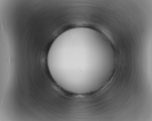 X0000115520265200911061029