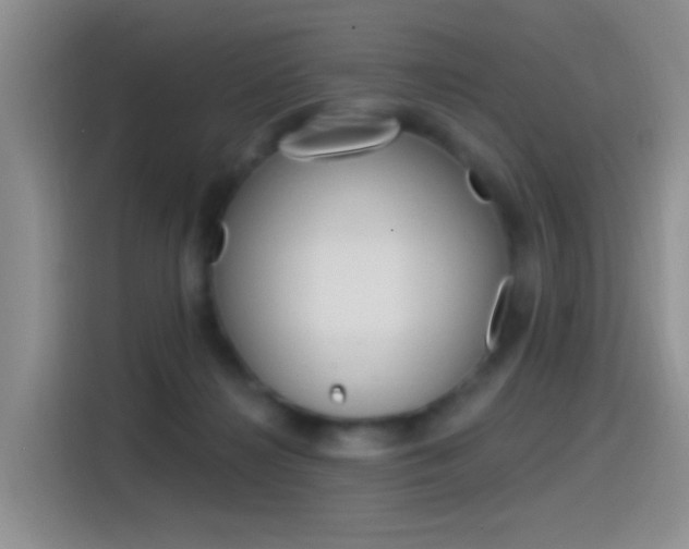 X0000115520268200911061029