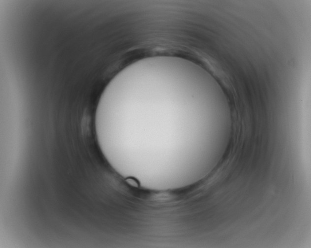 X0000115520269200911061029