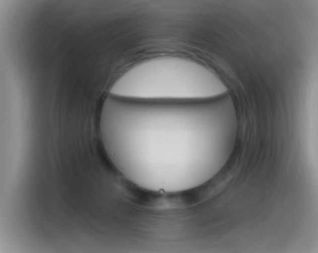 X0000115520270200911061029