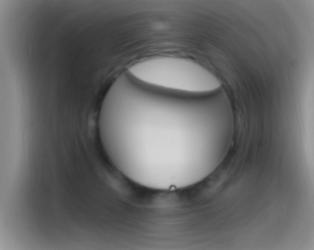 X0000115520271200911061029