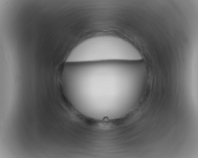 X0000115520272200911061029