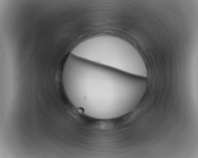 X0000115520275200911061029