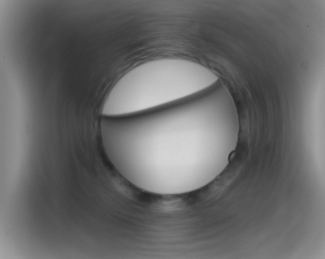 X0000115520278200911061029