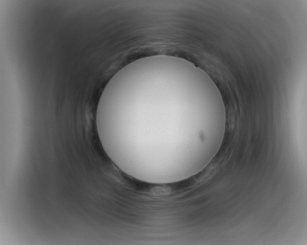 X0000115520279200911061029