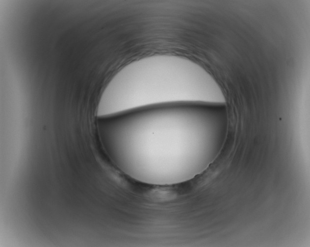 X0000115520280200911061029