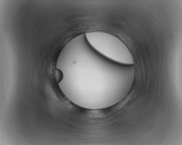 X0000115520281200911061029