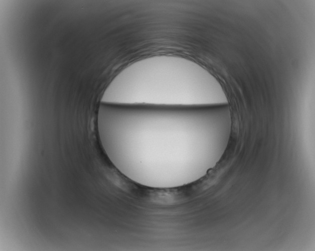 X0000115520282200911061029