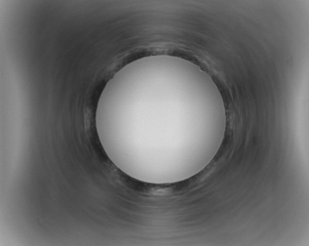 X0000115520283200911061029