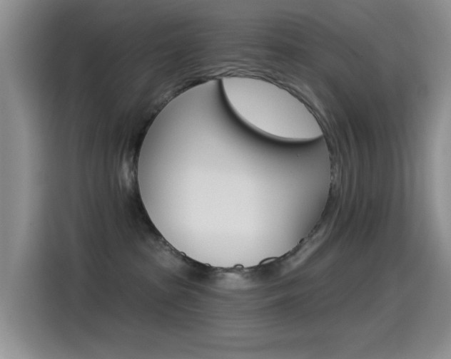 X0000115520285200911061029