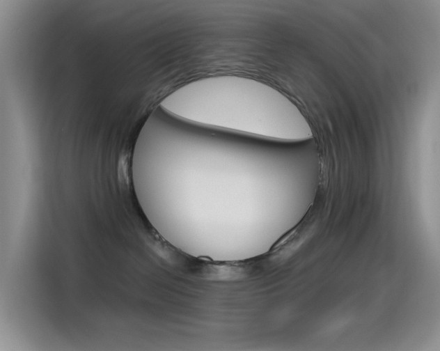 X0000115520286200911061029