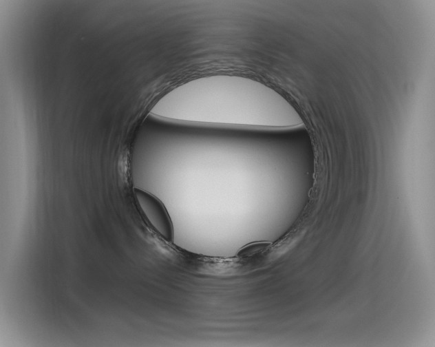 X0000115520288200911061029