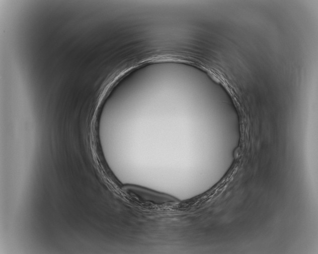 X0000115520289200911061029