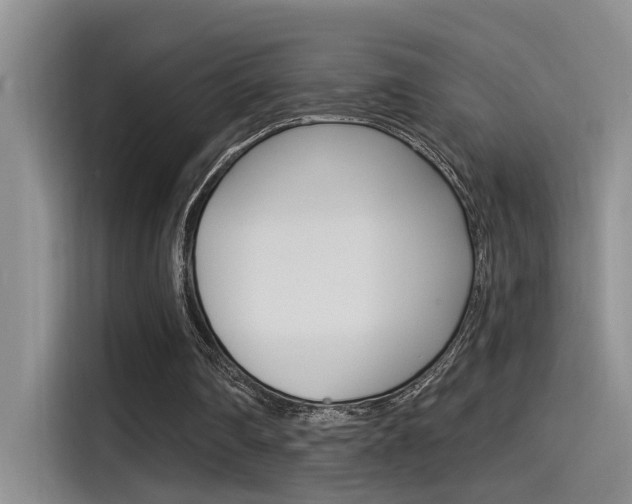 X0000115520290200911061029