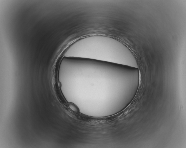 X0000115520291200911061029