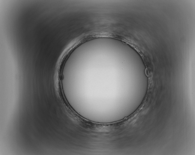 X0000115520293200911061029