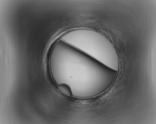 X0000115520295200911061029