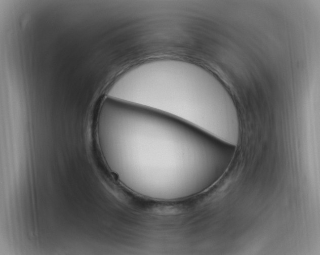 X0000115520299200911061029