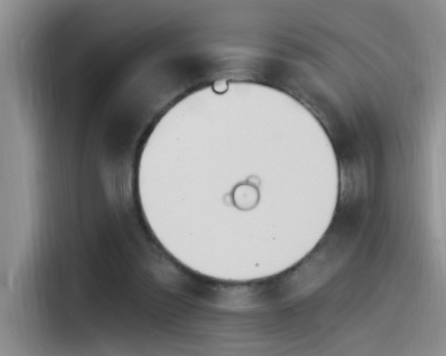 X0000115520301200911061028