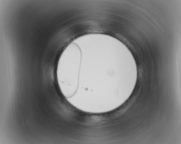 X0000115520302200911061028