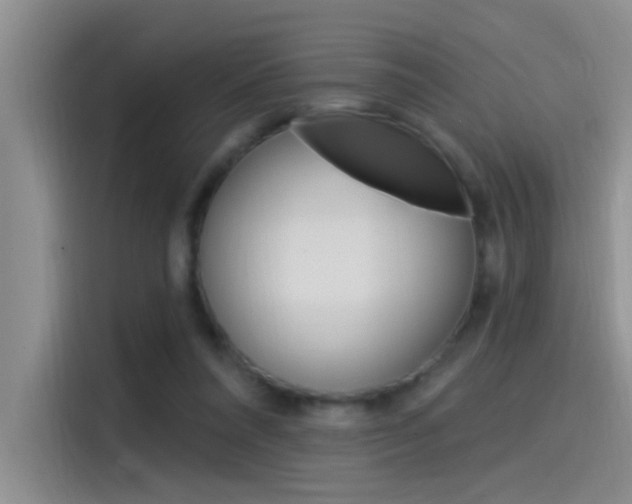 X0000115520304200911061028