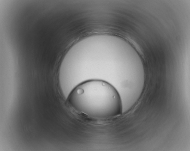 X0000115520305200911061028