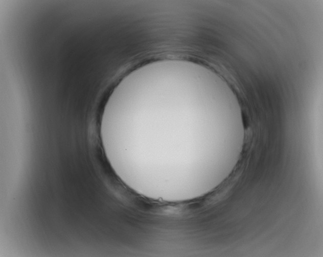 X0000115520306200911061028