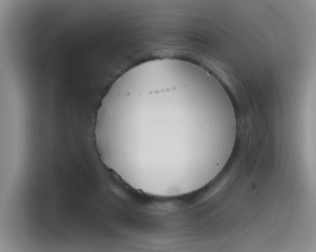X0000115520307200911061028