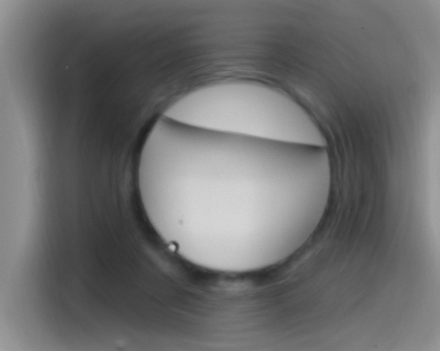 X0000115520311200911061028