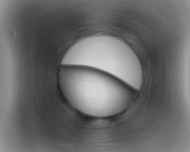 X0000115520319200911061028