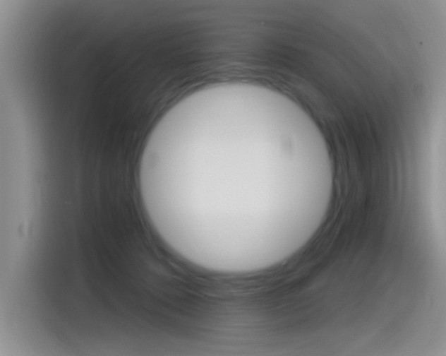 X0000115520320200911061028