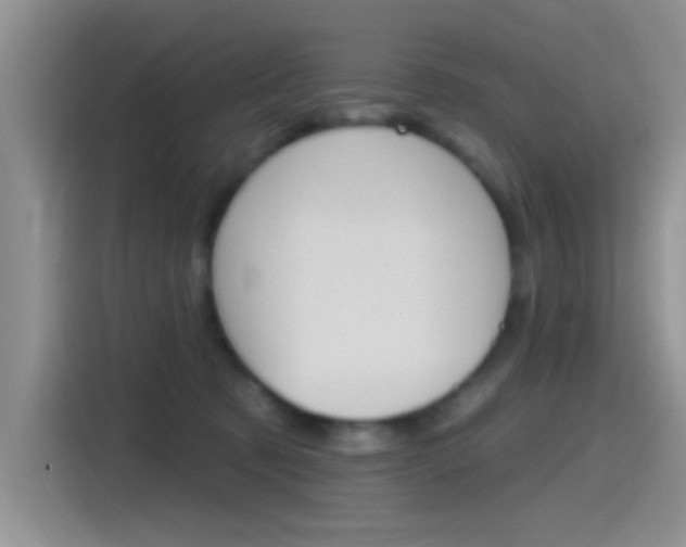X0000115520321200911061028