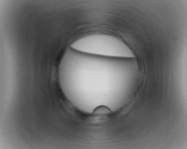 X0000115520323200911061028
