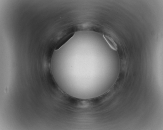 X0000115520324200911061028