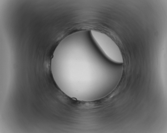 X0000115520329200911061028